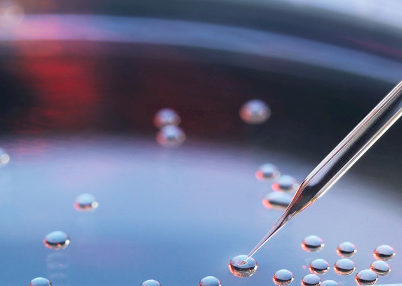 Petri dish closeup