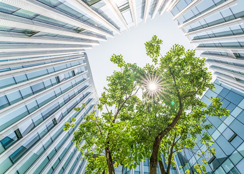 Looking up a building courtyard with sun pouring in